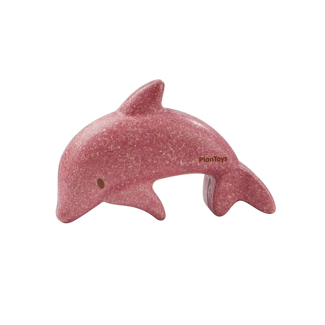 Dolphin - Image 2