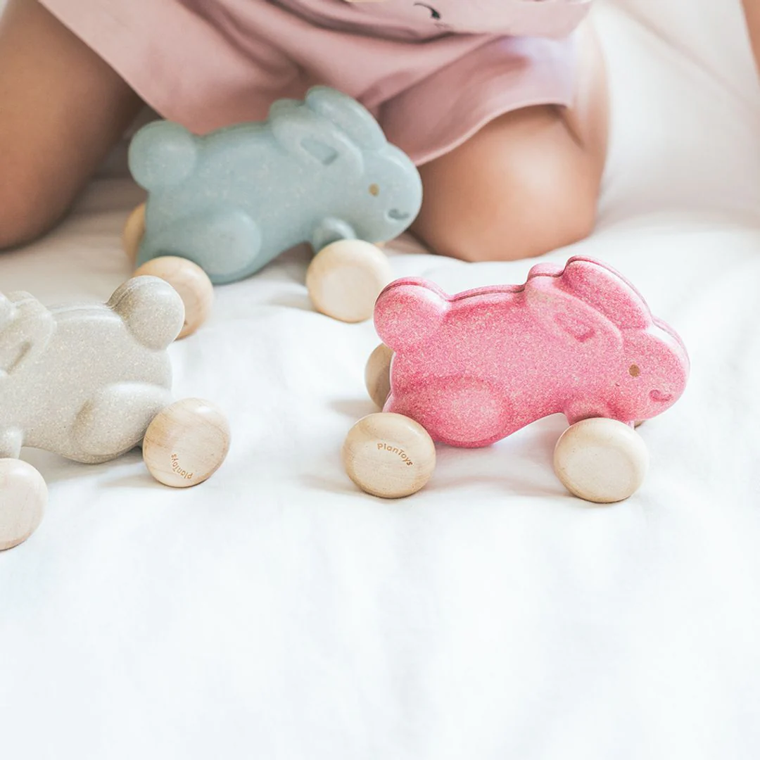 Push Along Bunny - Blue - Image 4