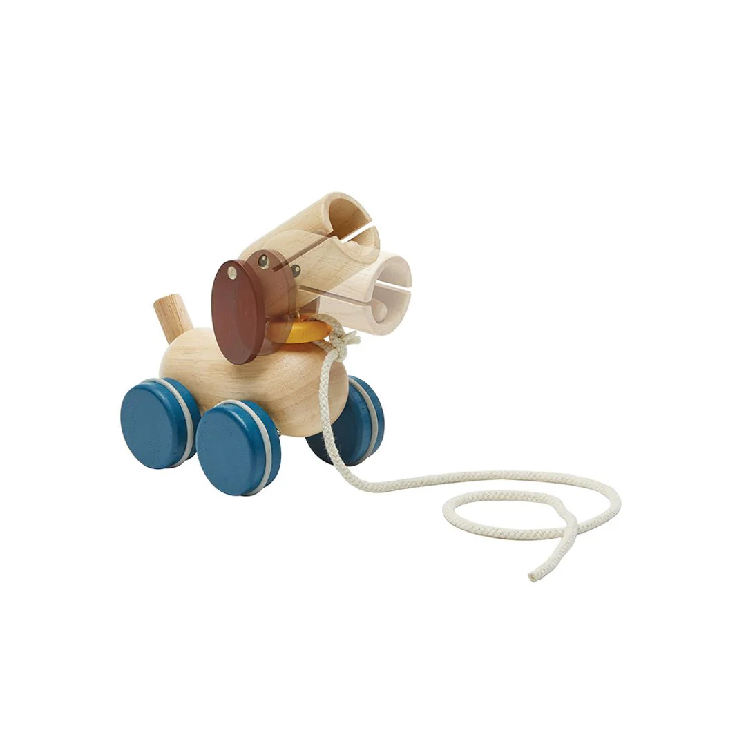 Push & Pull Puppy - Image 7